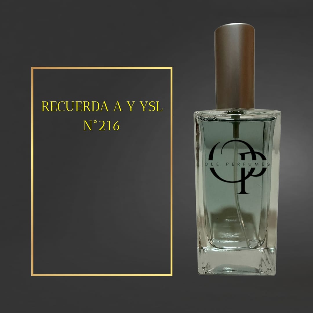 216 RECUERDA A Y YSL