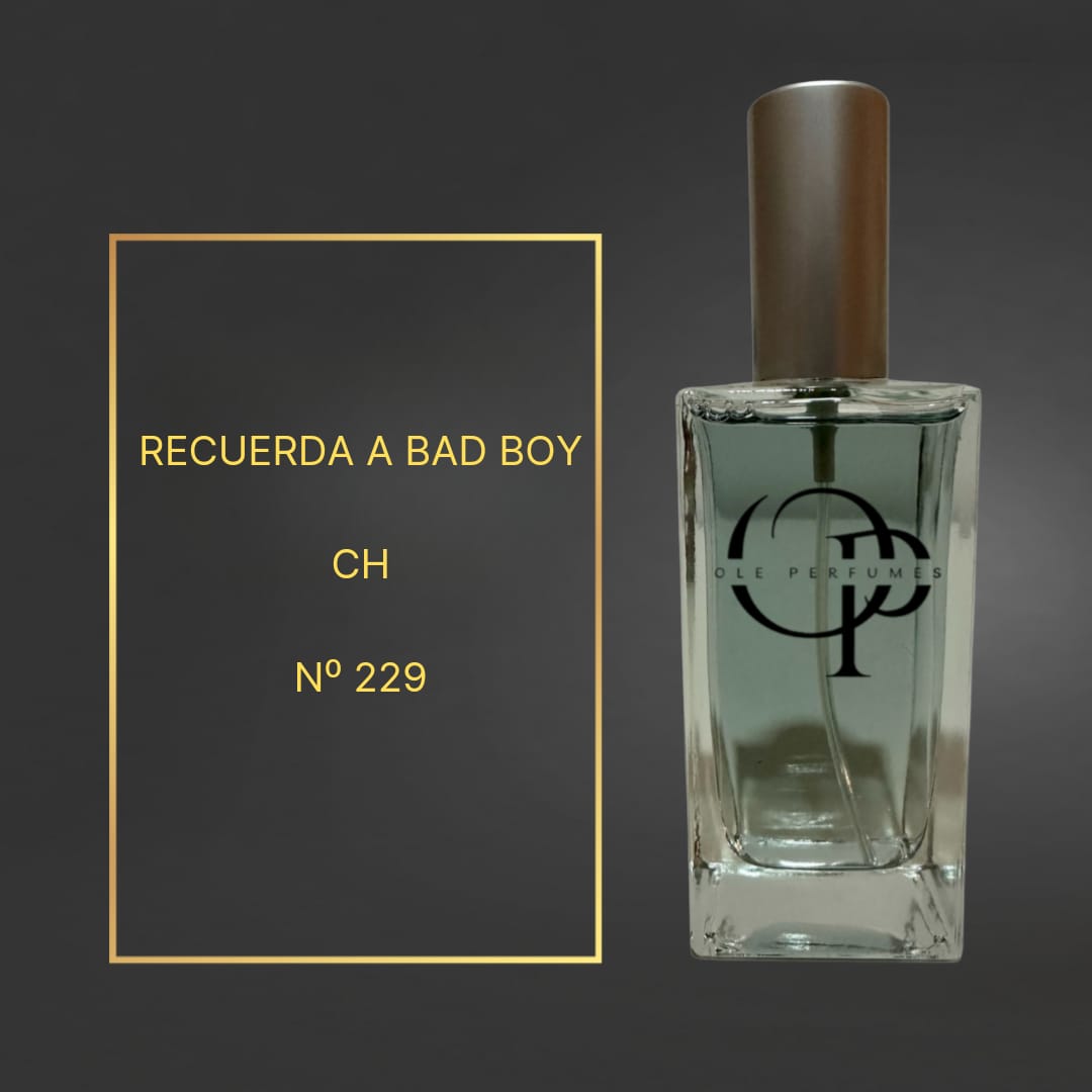 229 RECUERDA A BAD BOY CH
