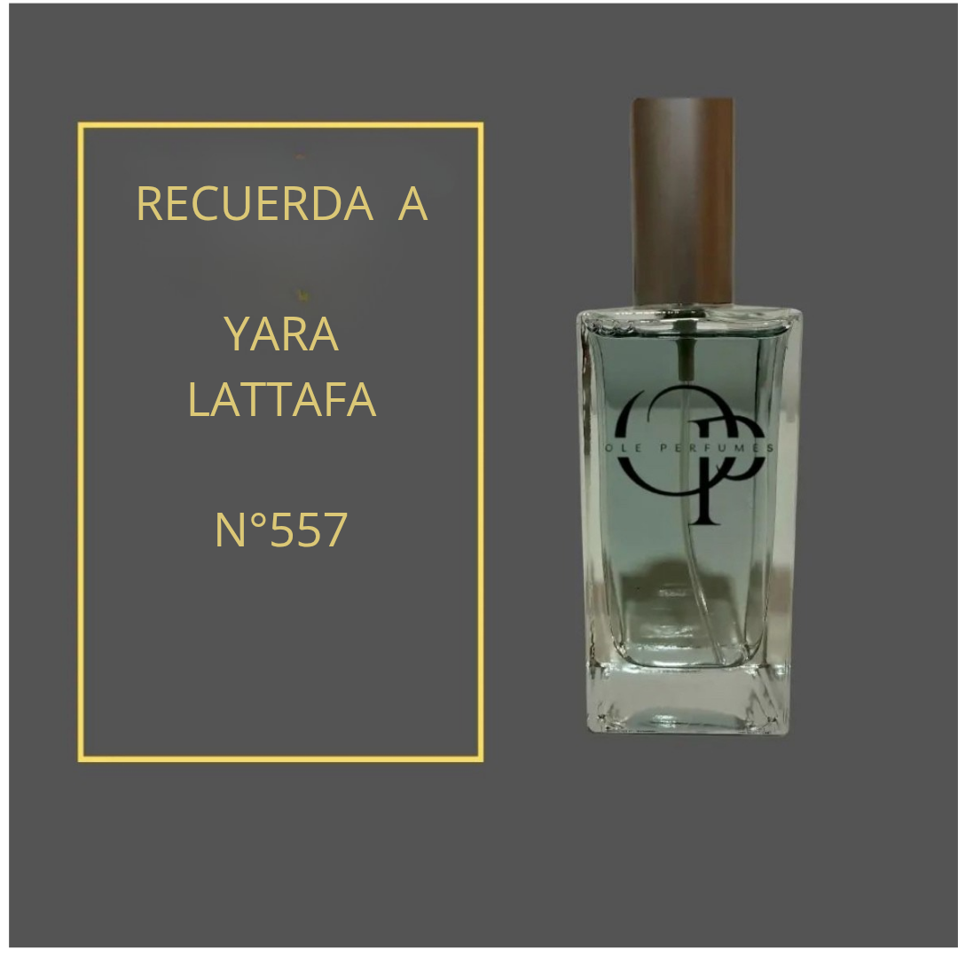 557 INSPIRADO EN YARA LATTAFA