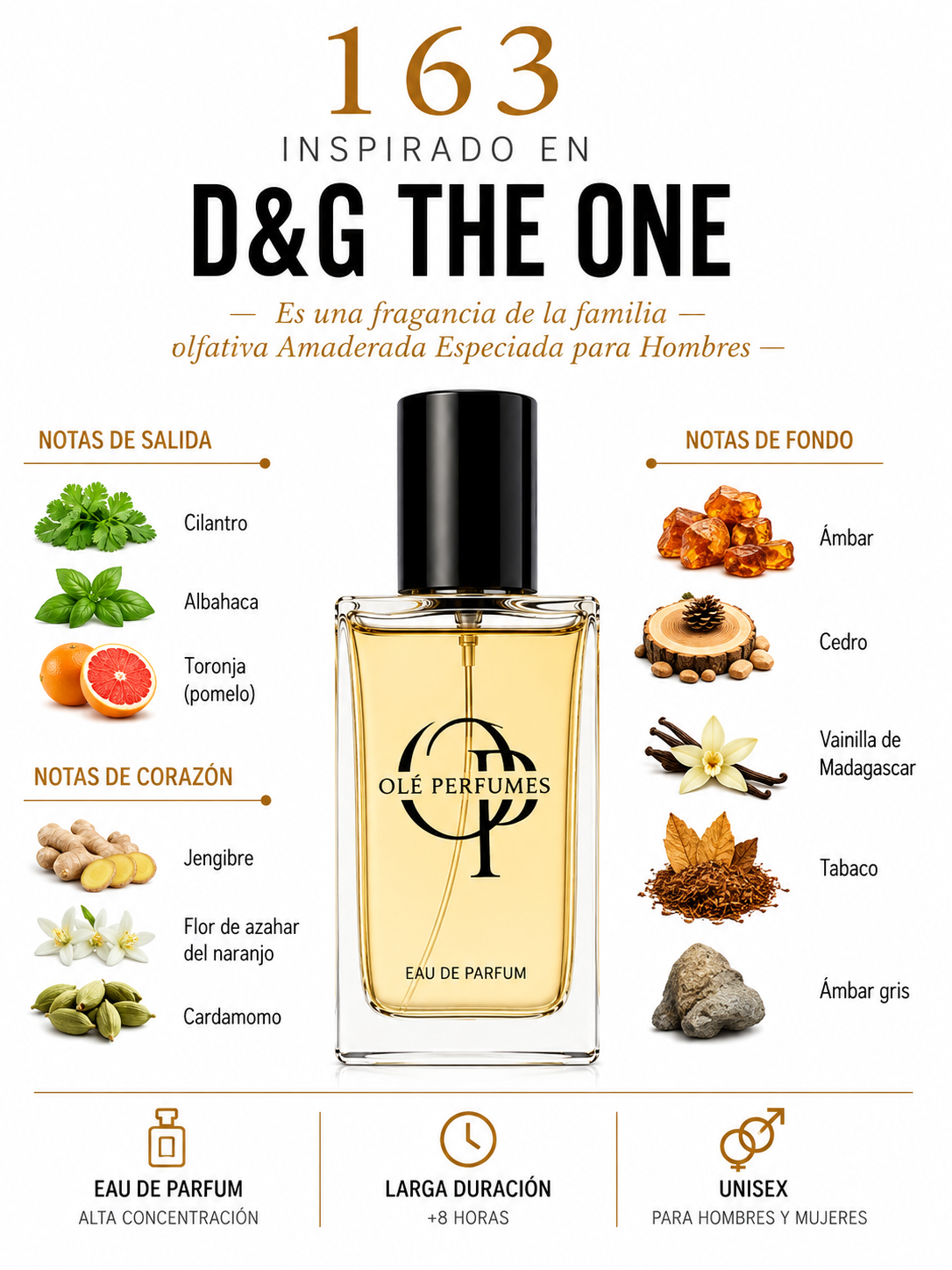 163  INSPIRADO EN D&G THE ONE
