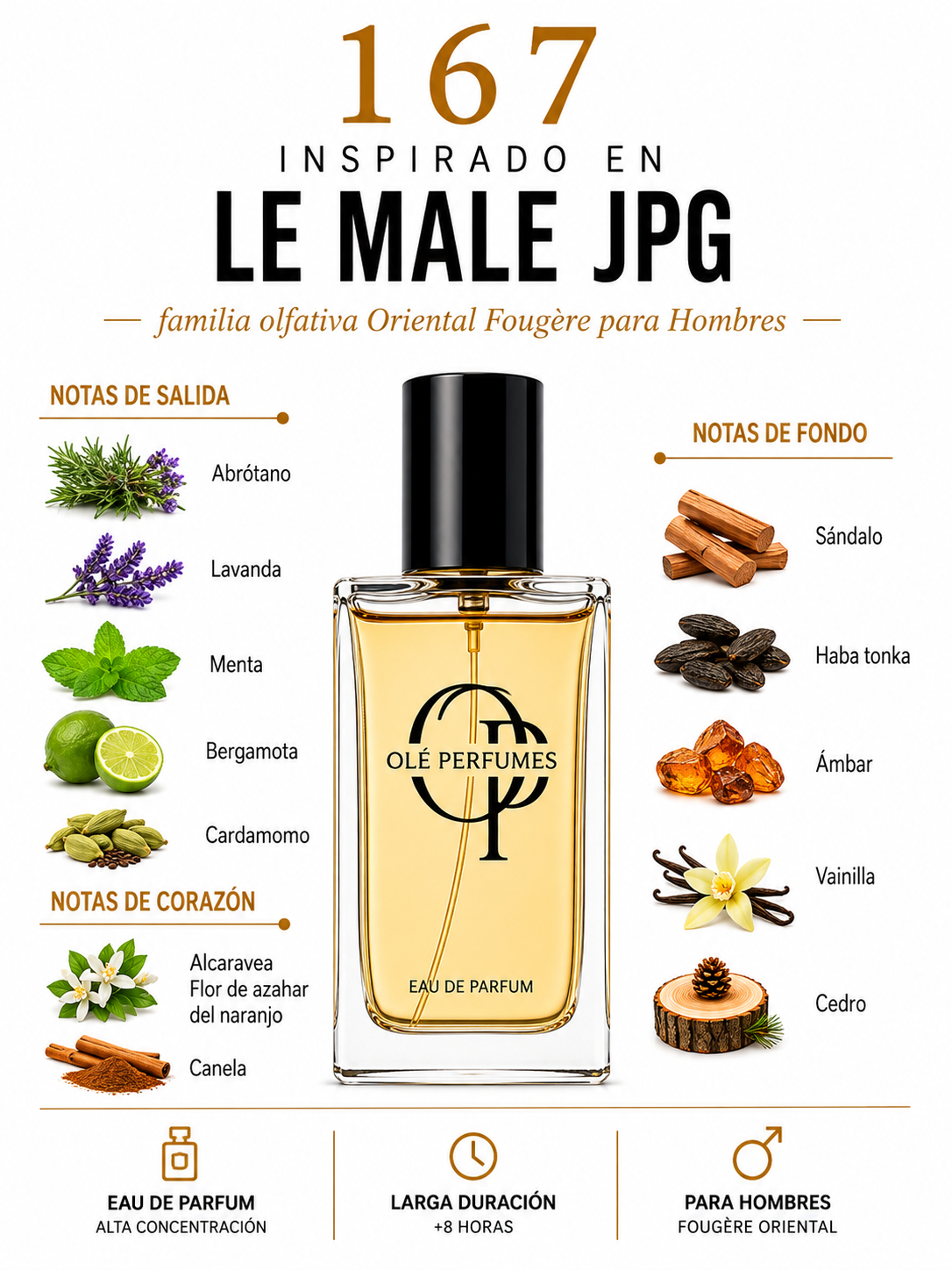 167  INSPIRADO EN LE MALE JPG