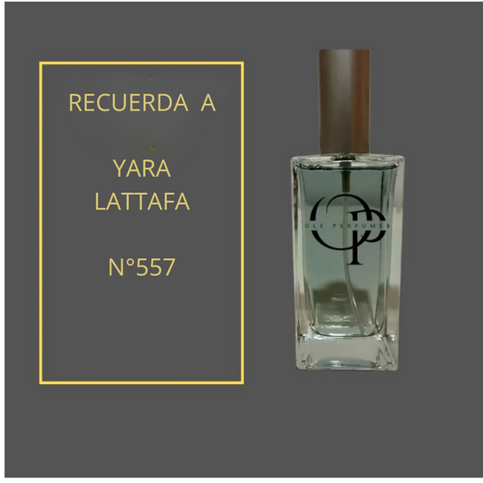 557 INSPIRADO EN YARA LATTAFA